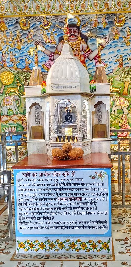 प्रतिमा · मुख्य वेदी, अहिच्छत्र