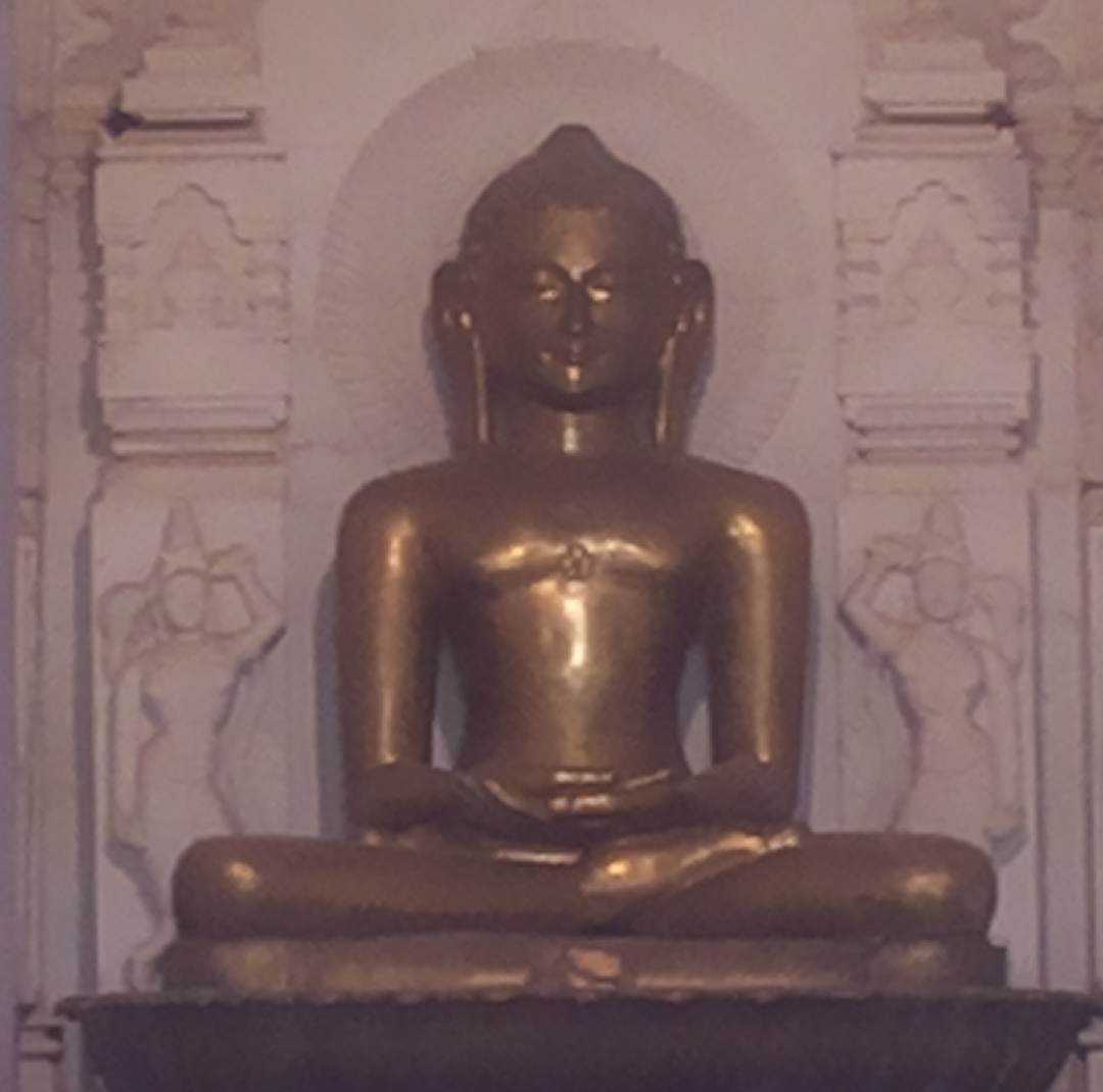 मूलनायक · भगवान आदिनाथ, अमरकंटक