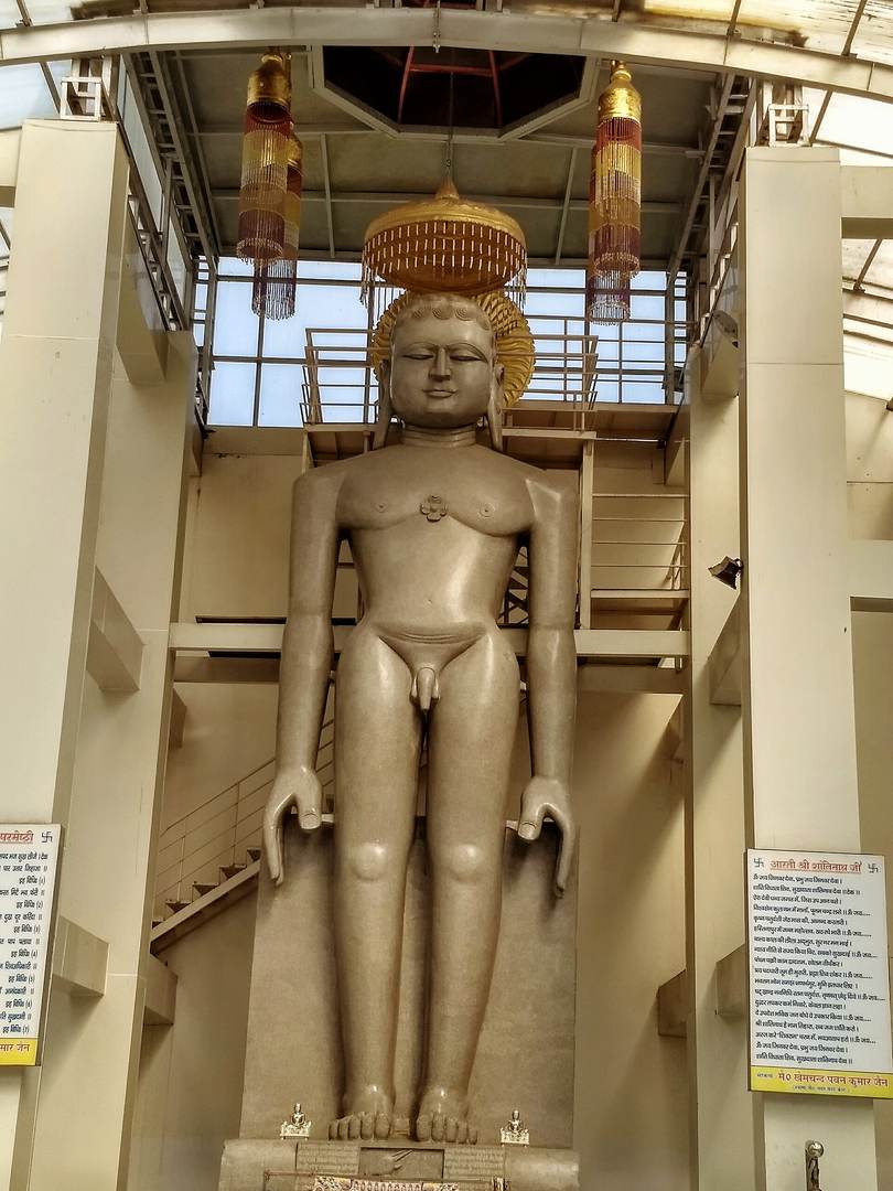 प्रतिमा · भगवान शांतिनाथ, हस्तिनापुर