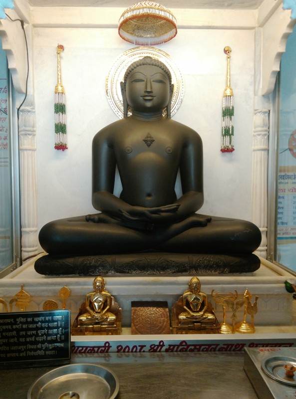 मूलनायक भगवान, जहाजपुर (स्वस्ति धाम)