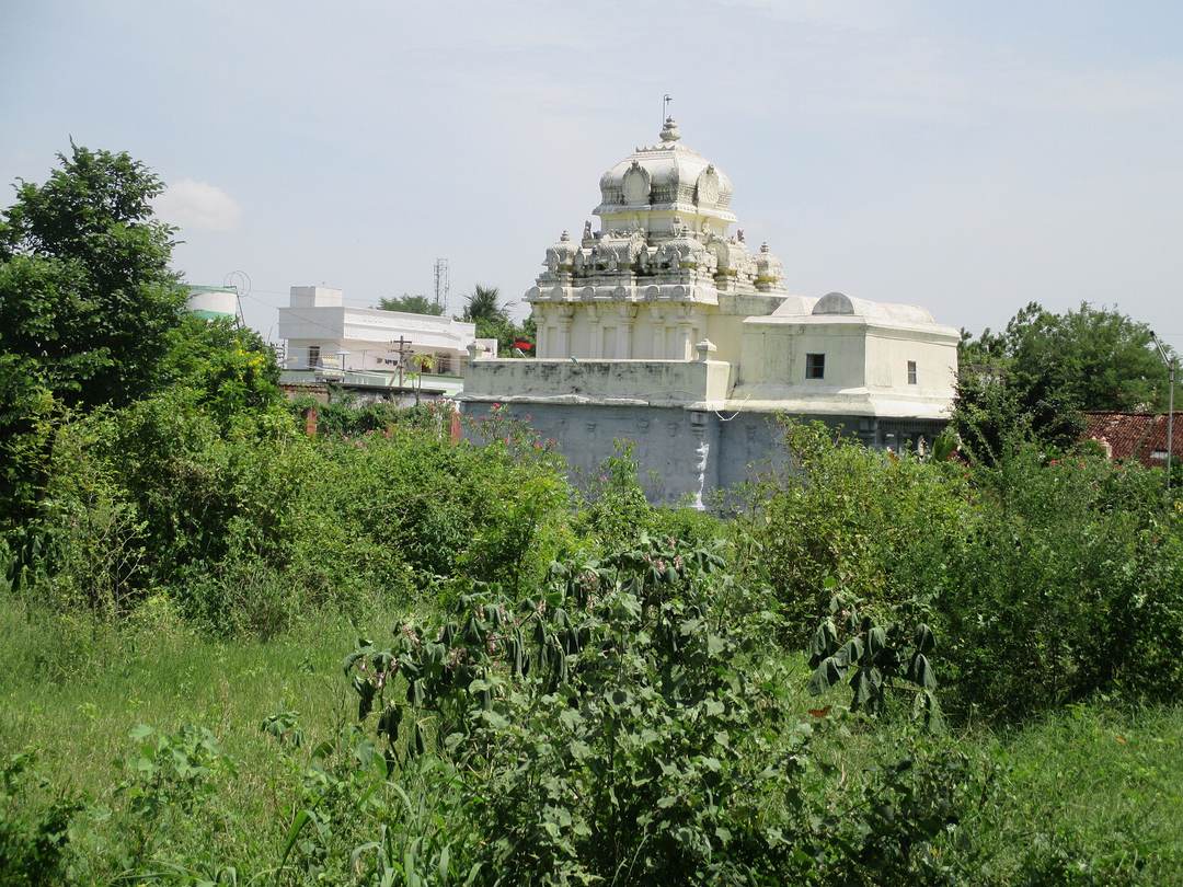 मंदिर · चंद्रप्रभ मंदिर, जिन कांची (तिरुप्परुत्तिकुंड्रम)