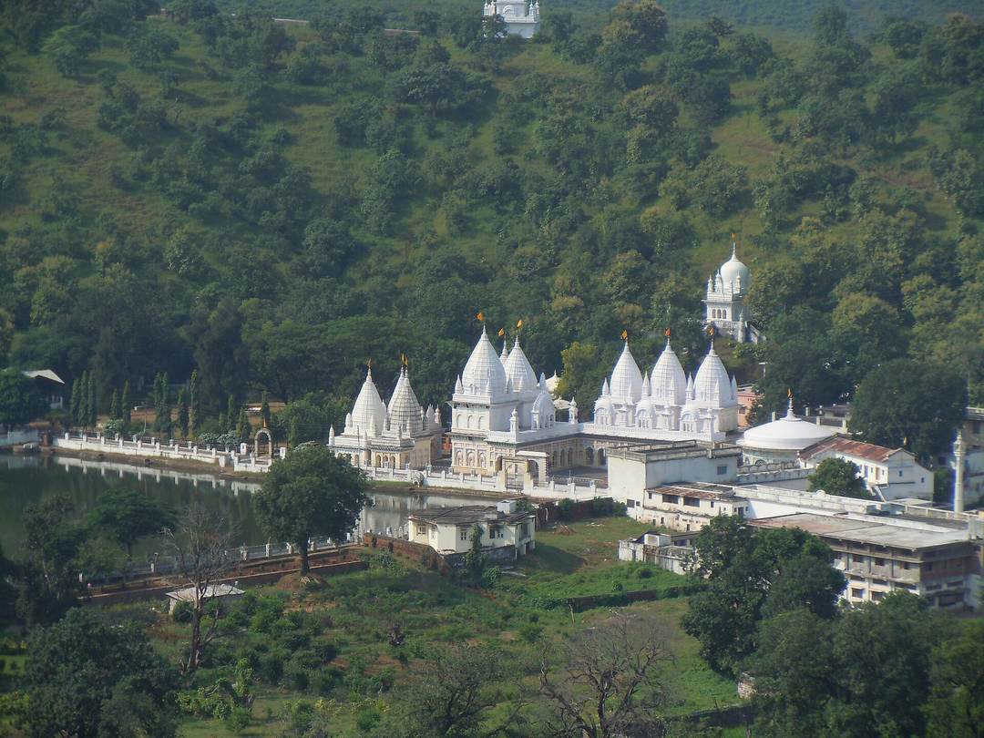 मंदिर, कुण्डलपुर (बड़े बाबा)