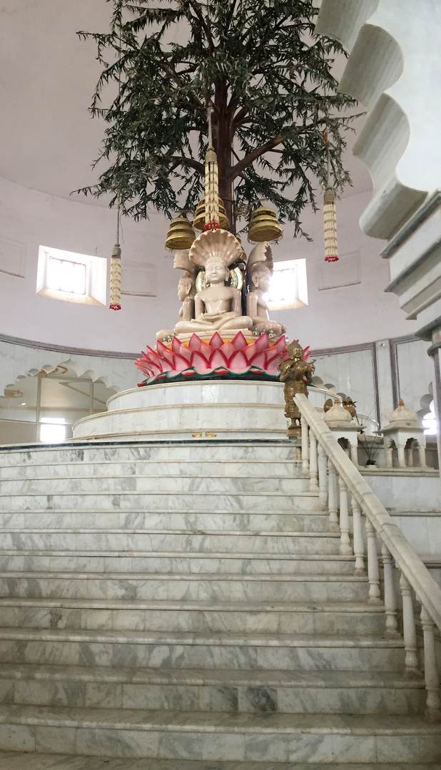 मंदिर · समवशरण मंदिर, नैनागिरि (रेशंदीगिरि)