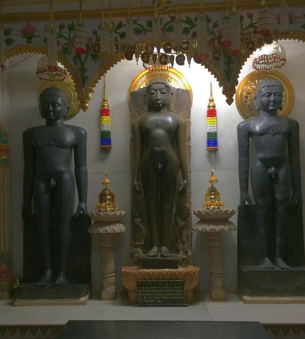 प्रतिमा · भगवान अरहनाथ, नवागढ़