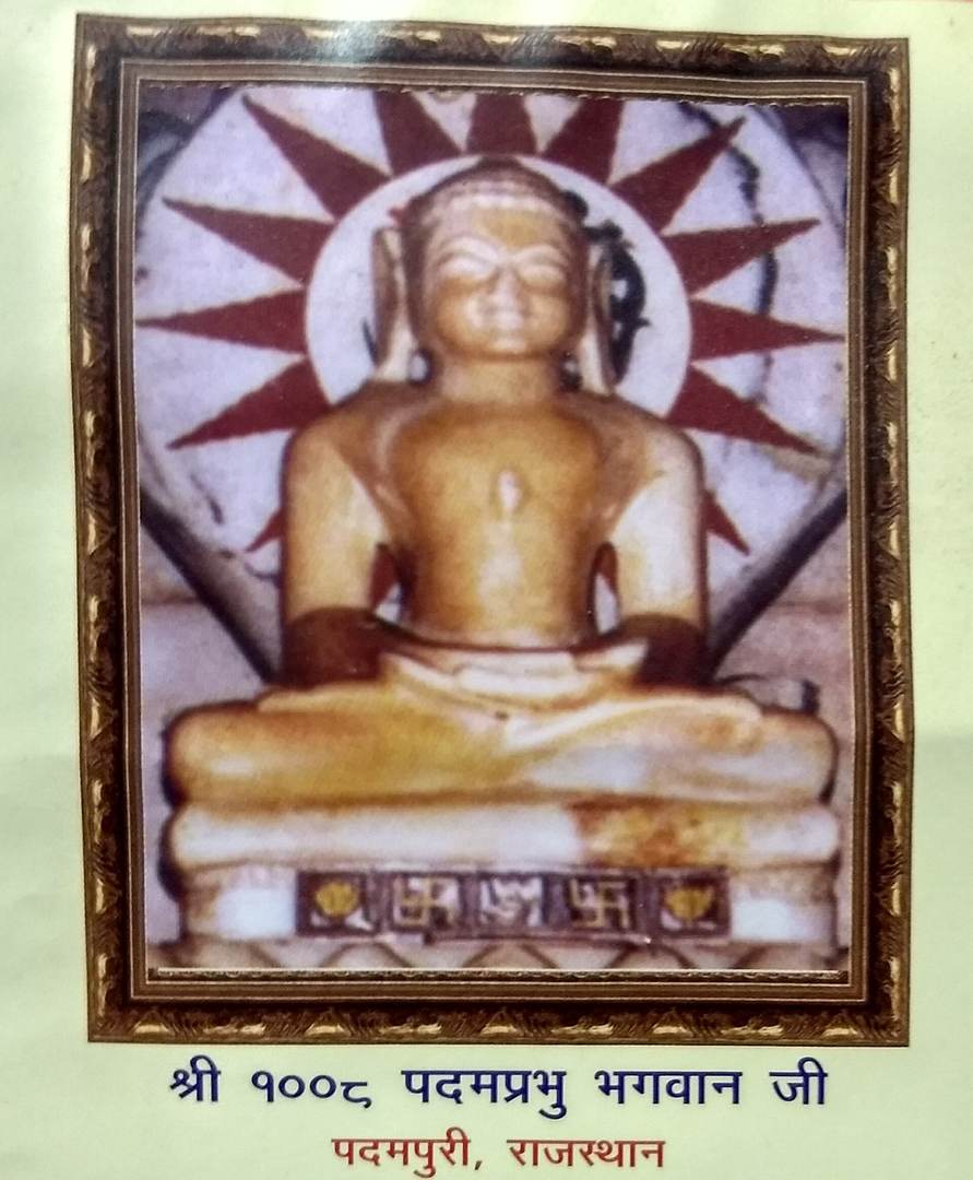 प्रतिमा · भगवान पद्मप्रभ, पदमपुरा