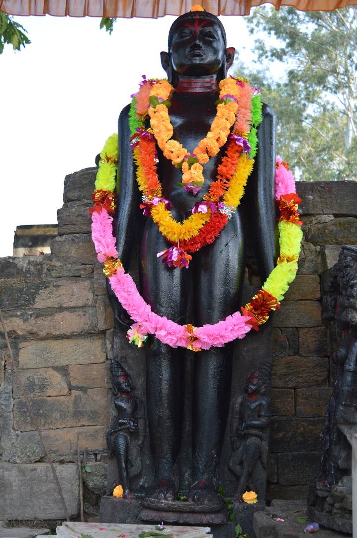 प्रतिमा · भगवान पद्मप्रभ, पाकबिड़रा