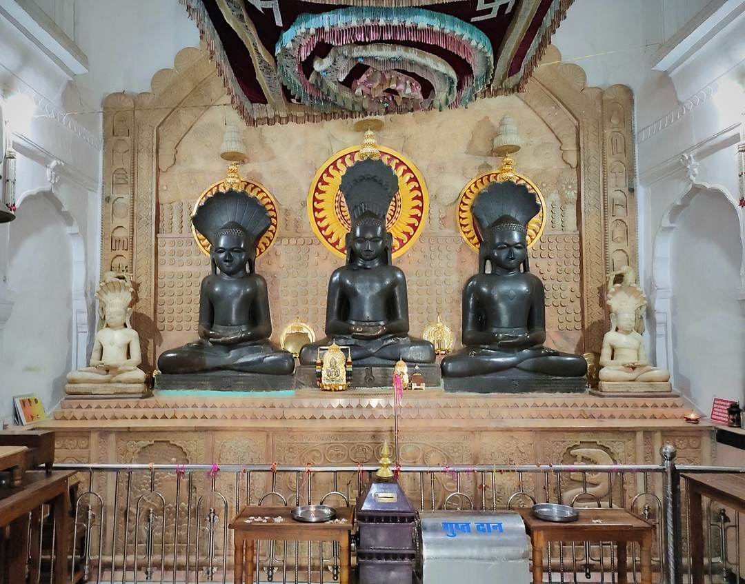 मूलनायक · भगवान पार्श्वनाथ, पटेरिया जी