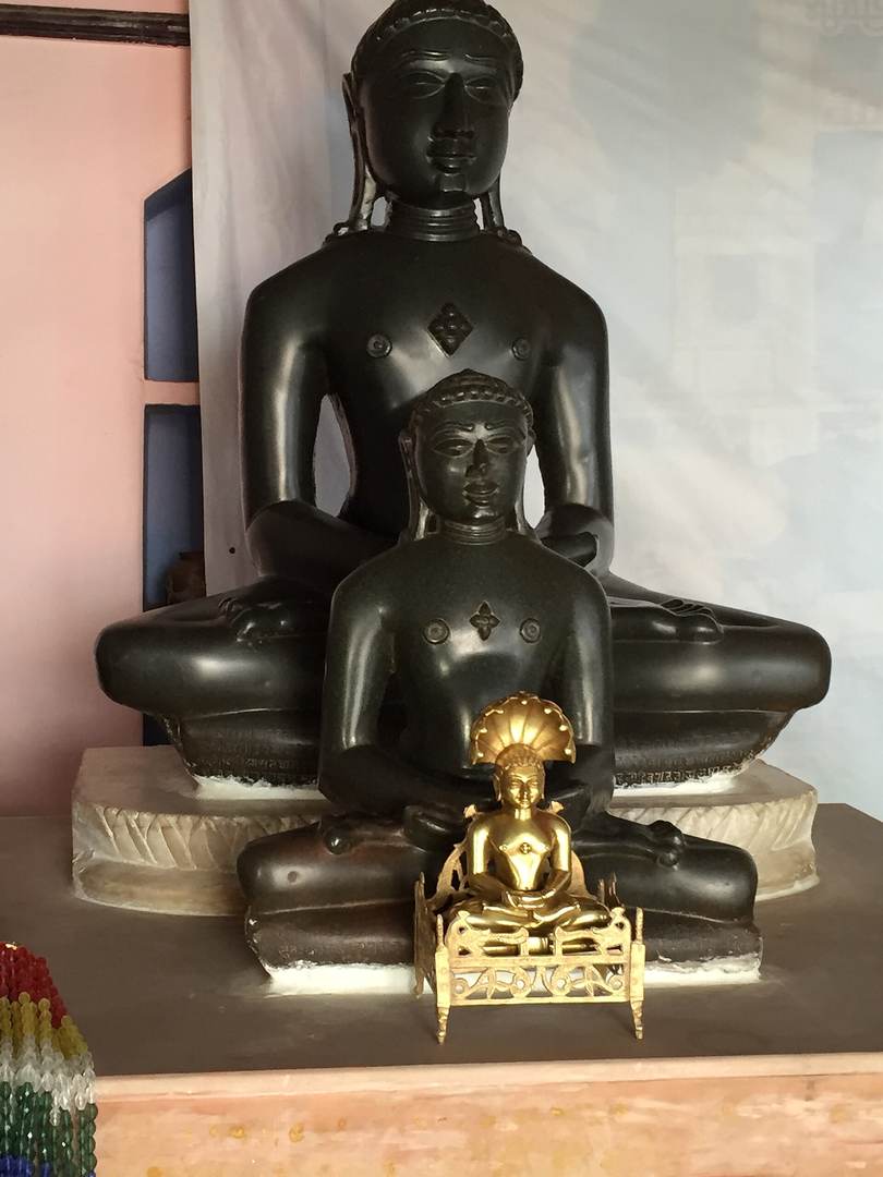 प्रतिमा · भोयरे में, पवाजी (पावागिरि)